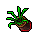 Toxicus poison